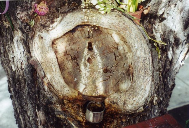 2000-0187.jpg