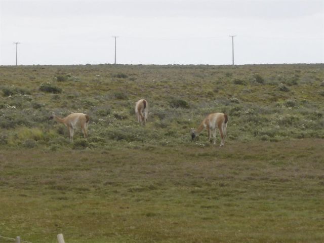 2005-12-25-DSC01279.JPG
