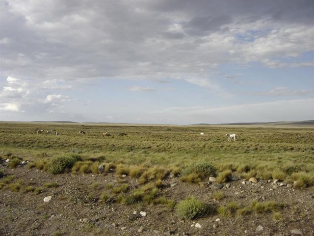 2005-12-28-DSC01322.JPG