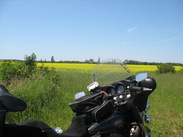 2009-07-pei-vaca-070.JPG