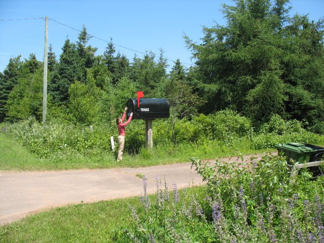 2009-07-pei-vaca-180.JPG