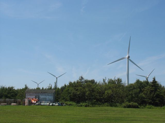 2009-07-pei-vaca-200_crop.JPG