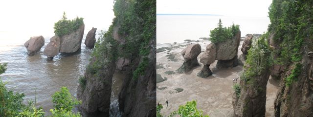 2009-07-pei-vaca-389-4.jpg