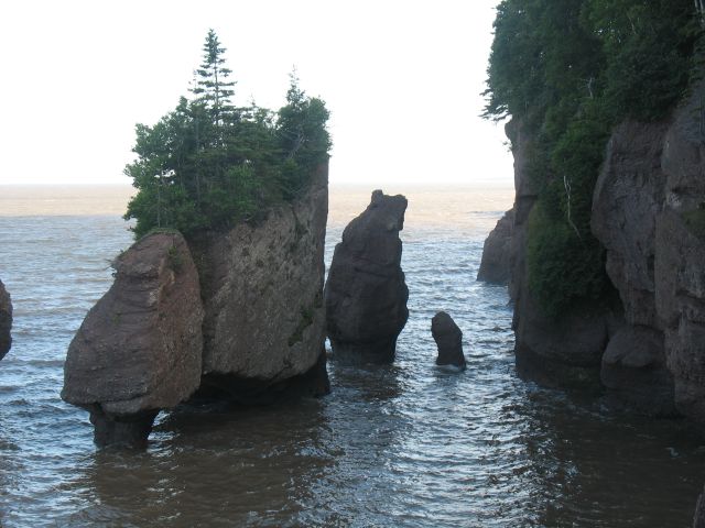 2009-07-pei-vaca-440.JPG