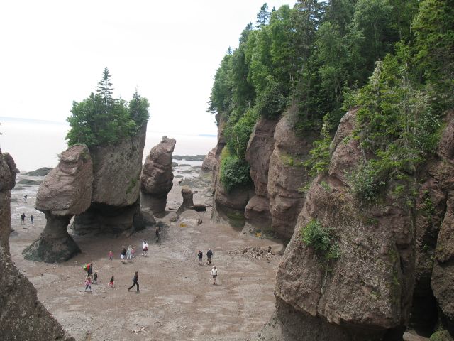 2009-07-pei-vaca-540.JPG