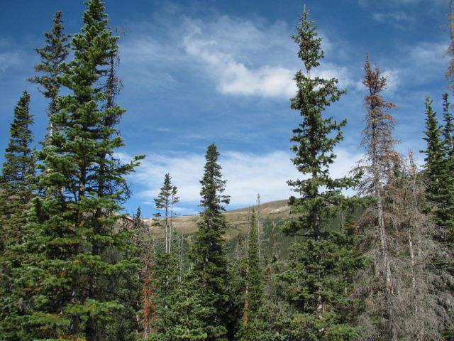 2010-09-co-0400.JPG