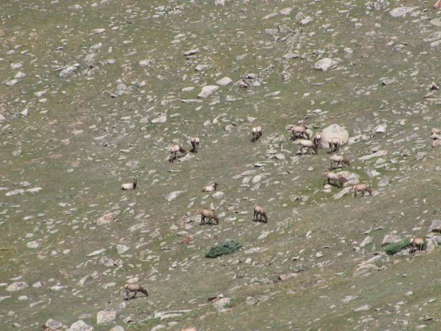 2010-09-co-0570.JPG