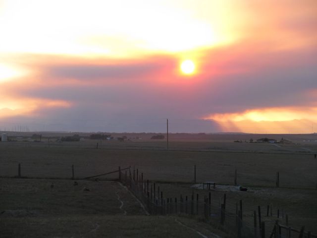 2010-09-co-3370.JPG