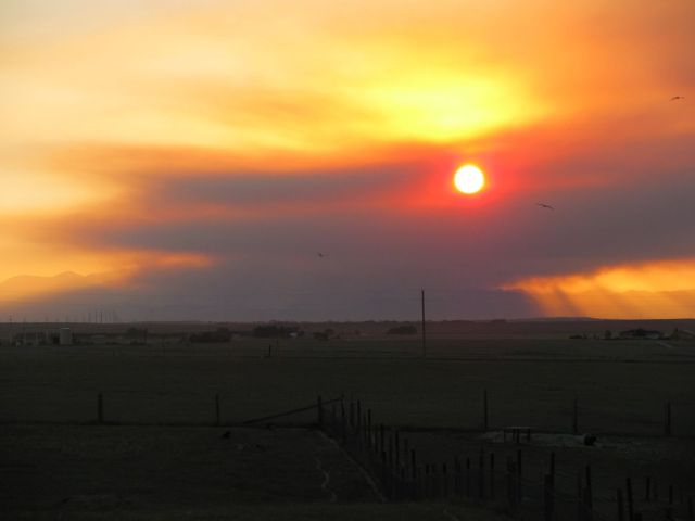 2010-09-co-3380.JPG