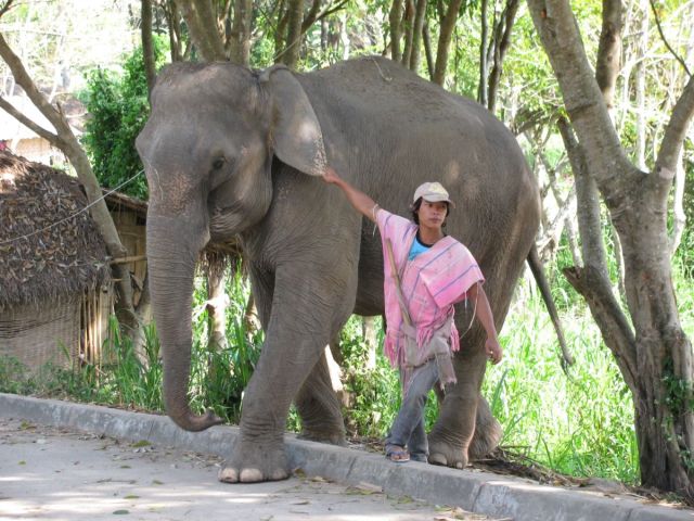 2010-11-thailand-0660.JPG