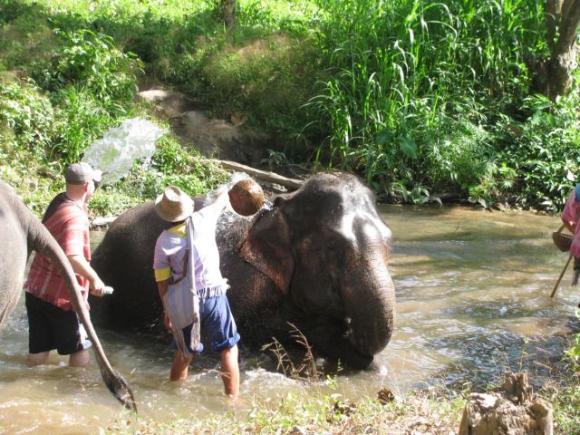 2010-11-thailand-0730.JPG