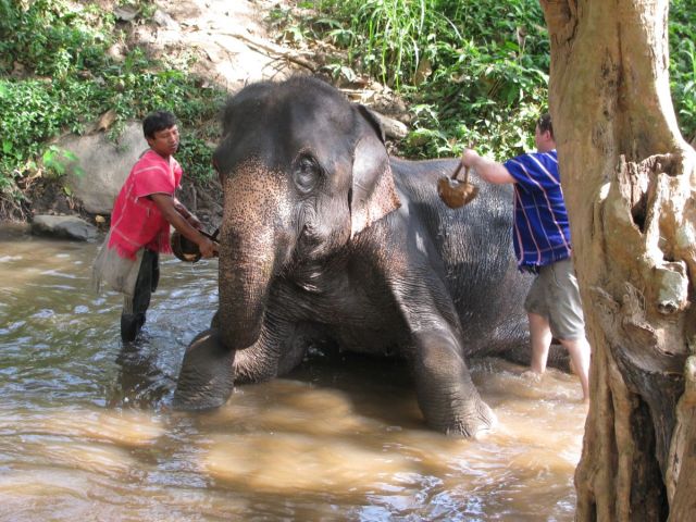 2010-11-thailand-0740.JPG