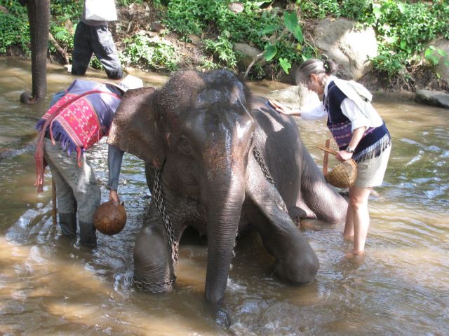 2010-11-thailand-0750.JPG