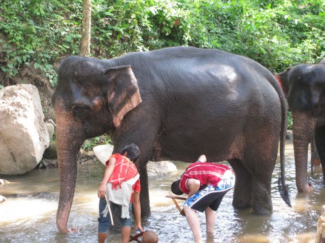 2010-11-thailand-0770.JPG