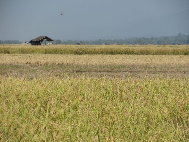 2010-11-thailand-0990.JPG