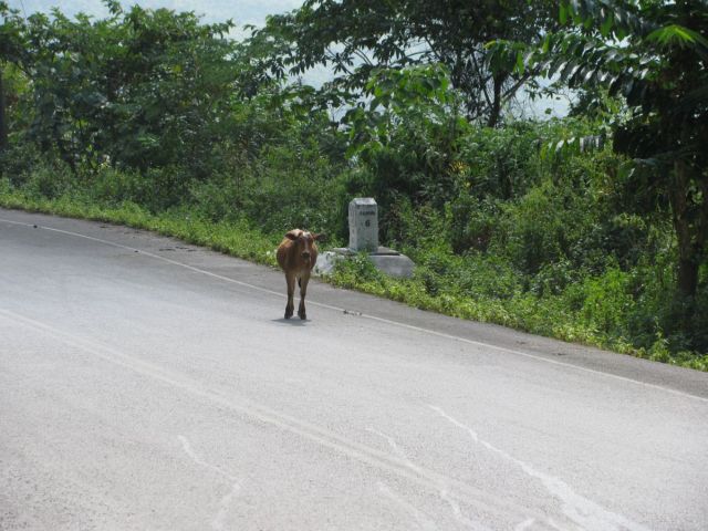 2010-11-thailand-1290.JPG