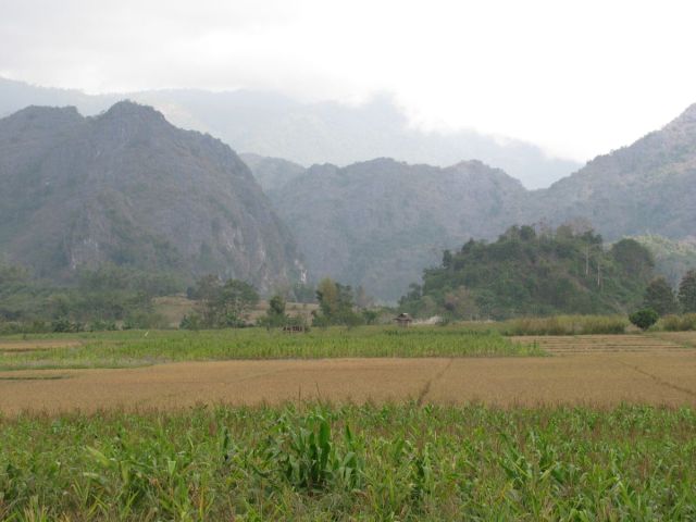 2010-11-thailand-1500.JPG