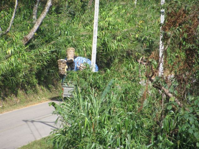 2010-11-thailand-2800.JPG