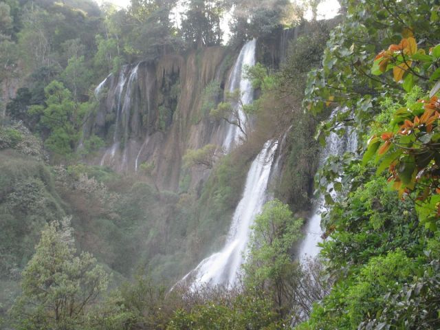 2010-11-thailand-3090.JPG