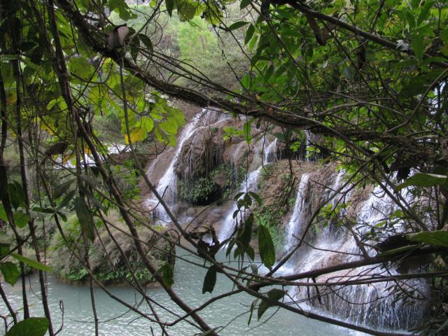 2010-11-thailand-3180.JPG