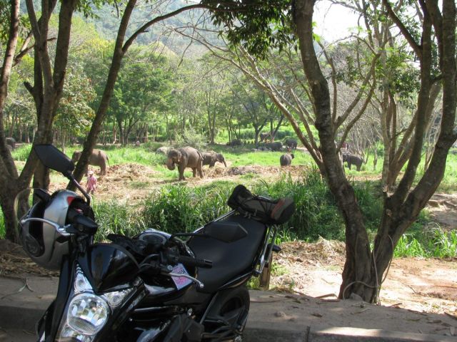 2010-11-thailand-0680.JPG