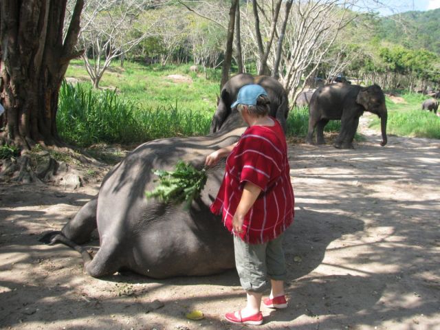 2010-11-thailand-0710.JPG