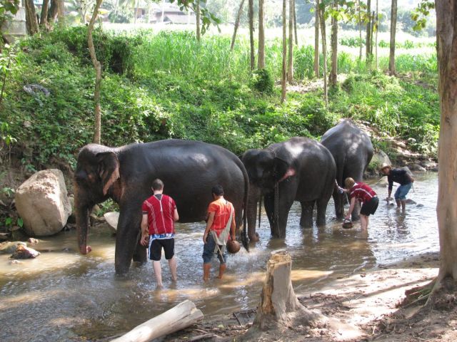 2010-11-thailand-0760.JPG