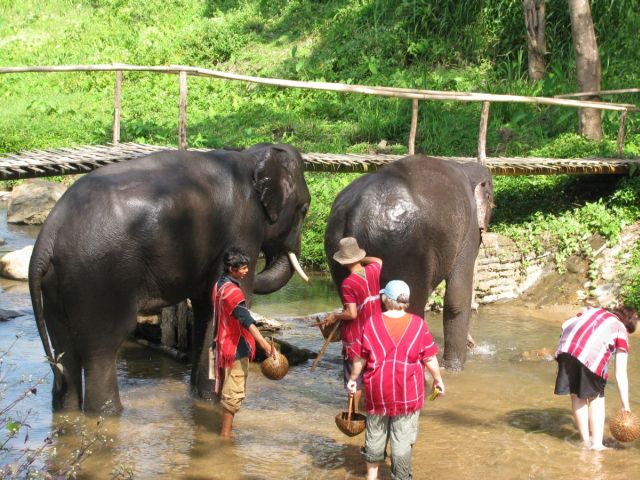 2010-11-thailand-0780.JPG